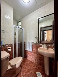 Tanglin Regency (D10), Condominium #434511651